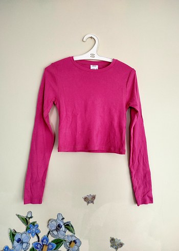 zara crop
