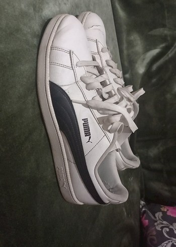 Puma 42