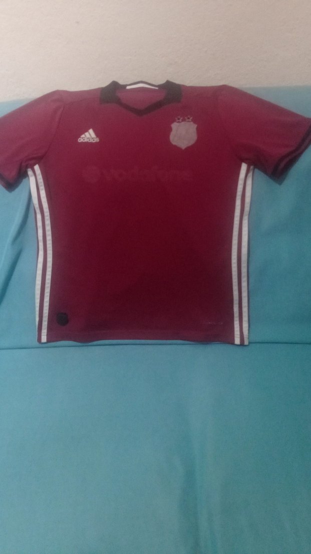 Bordo Kısa Kollu Erkek Spor Forması - Görsel 4