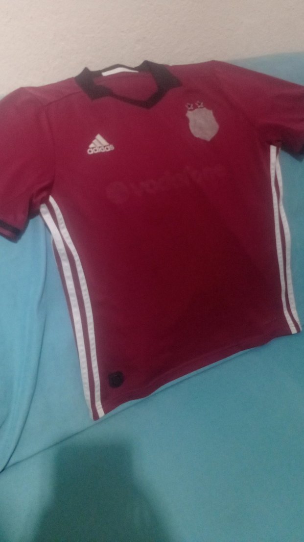 Bordo Kısa Kollu Erkek Spor Forması - Görsel 3