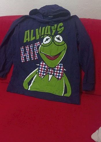 Walt Disney World 12-13 Yaş