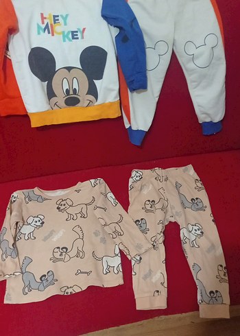 Çocuk Mickey ve Hayvan Desenli Pijama Takımları - Görsel 4
