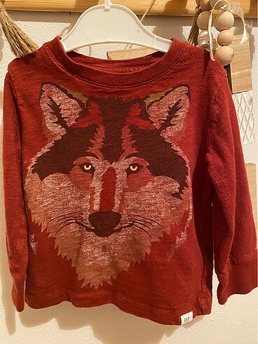 Carters tulum - Görsel 6