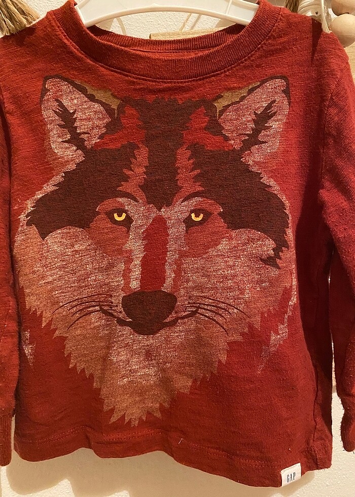 Carters tulum - Görsel 5