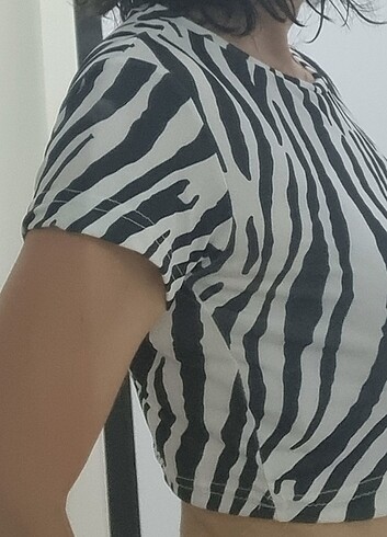 Zebra desen crop