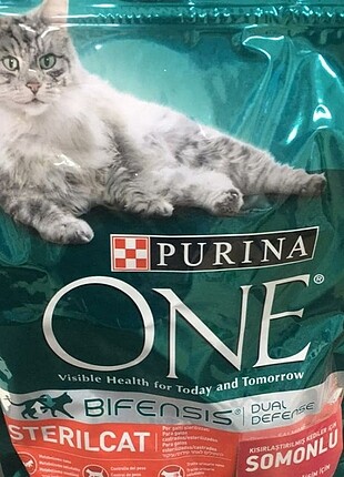Kısır kedi somonlu 800 gr