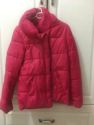 Koton mont
