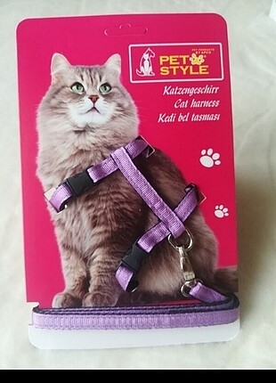 Kedi bel tasması