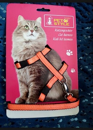 Kedi bel tasması