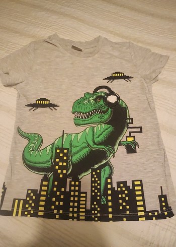Erkek Çocuk Gri Dinozor Baskılı Tişört