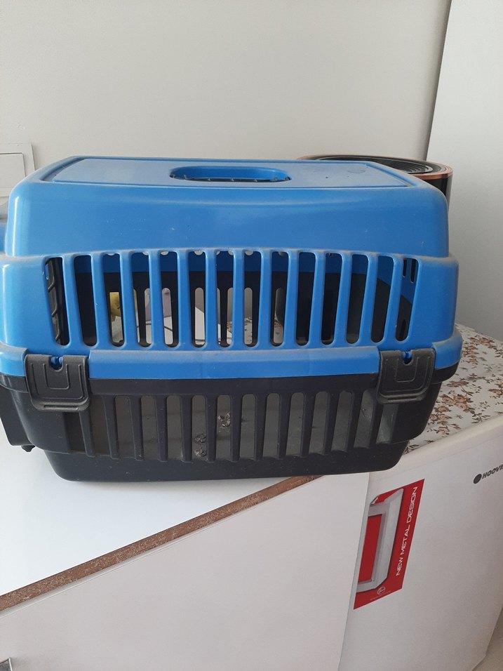 Koyu Mavi Plastik Taşıma Kabı - Görsel 2