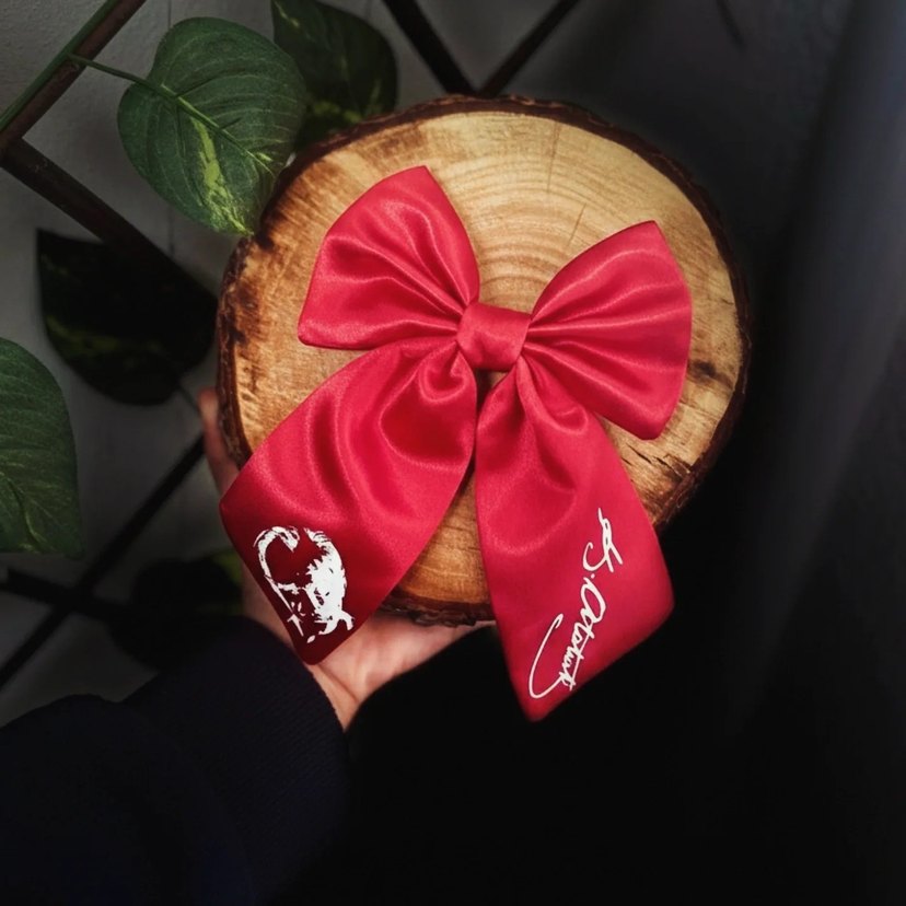 Atatürk ve bayrak temalı Fiyonk Saç Tokası - Görsel 2