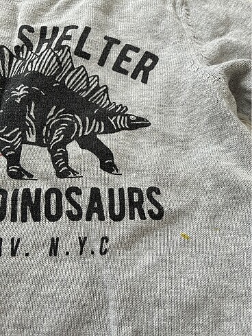 Hm kazak - Görsel 2