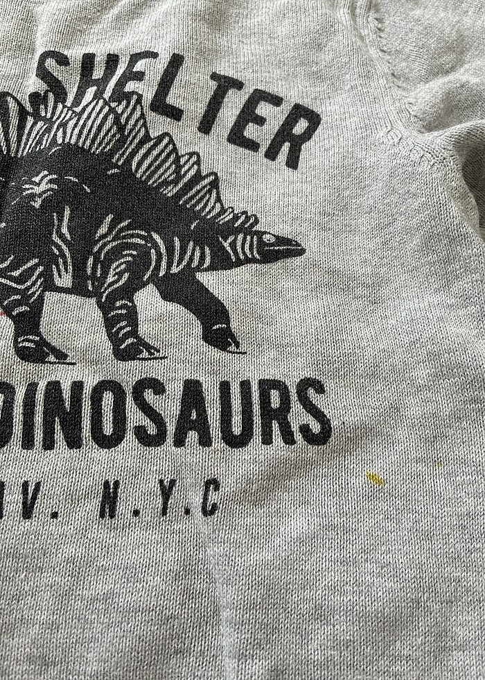 Hm kazak - Görsel 2