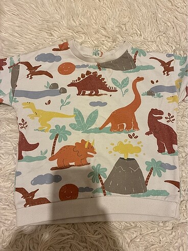 Mango sweatshirt