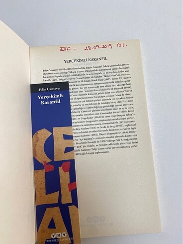 Edip cansever yerçekimli karanfil