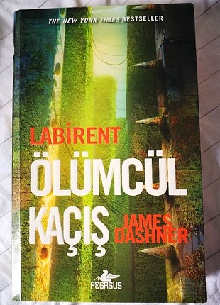 Labirent Ölümcül Kaçış