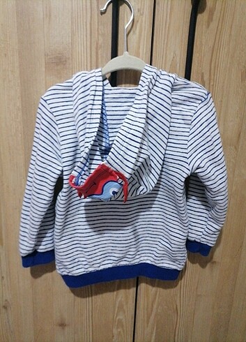 LC Waikiki Lcw bebek kapüşonlu çüzgili ceket