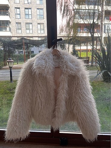 stradivarius