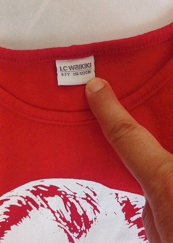 LC Waikiki Kırmızı Erkek Çocuk Baskılı Tişört