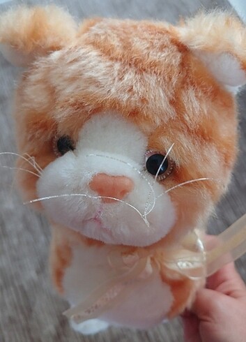 Beden Renk Sıfır Peluş kedi