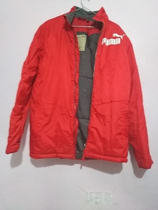 puma mont