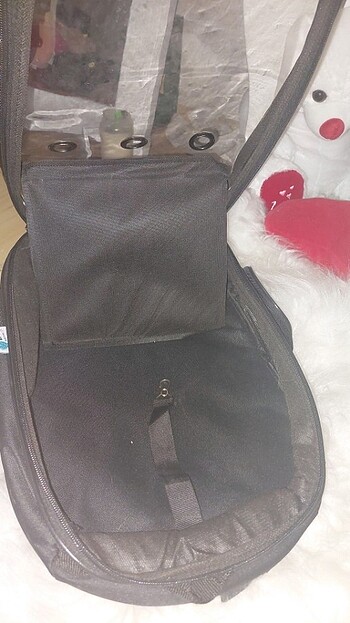  Kedi taşıma çantası 