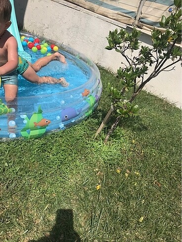 Diğer Şişme havuz