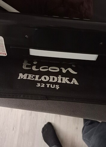  Beden Ticon melodico