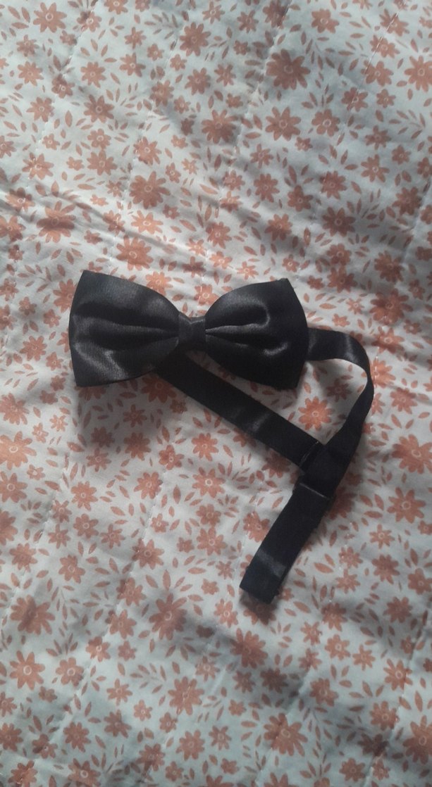 Siyah Bağlamalı Erkek Papyon - Görsel 2