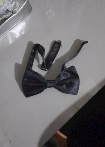 Siyah Erkek Klasik Papyon - Görsel 2