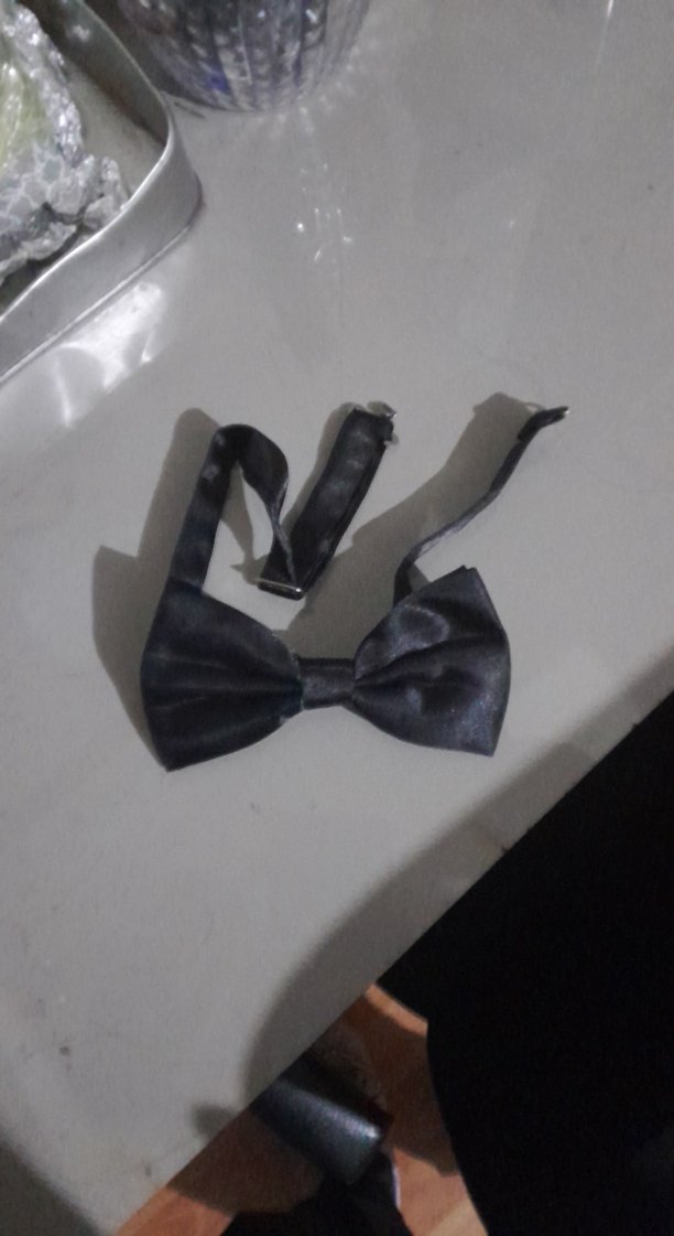 Siyah Erkek Klasik Papyon - Görsel 2