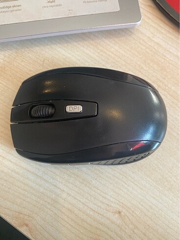 Mouse