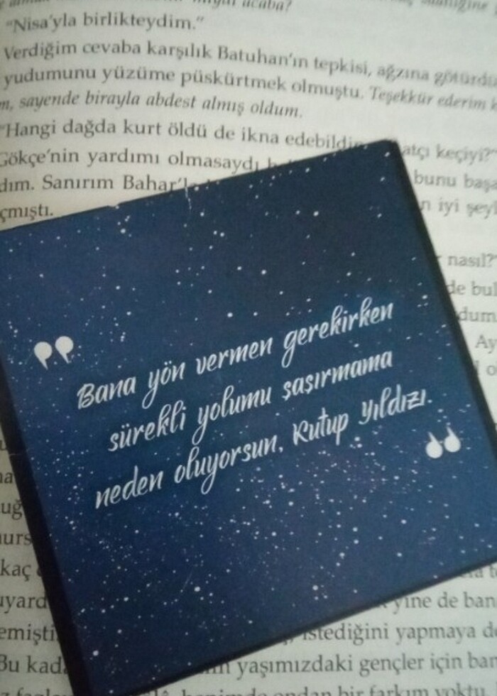 Kutup yıldızı 2 - Görsel 3