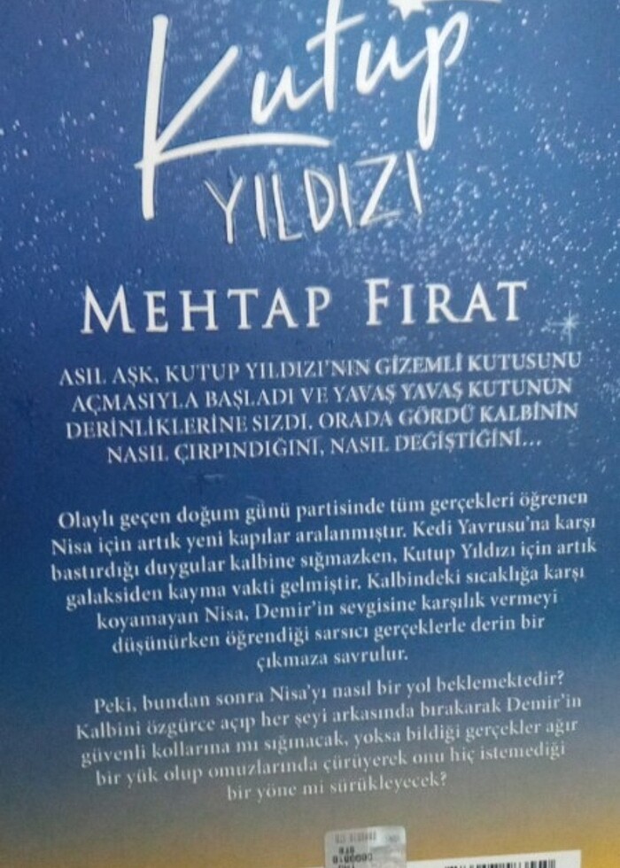 Kutup yıldızı 3 - Görsel 2