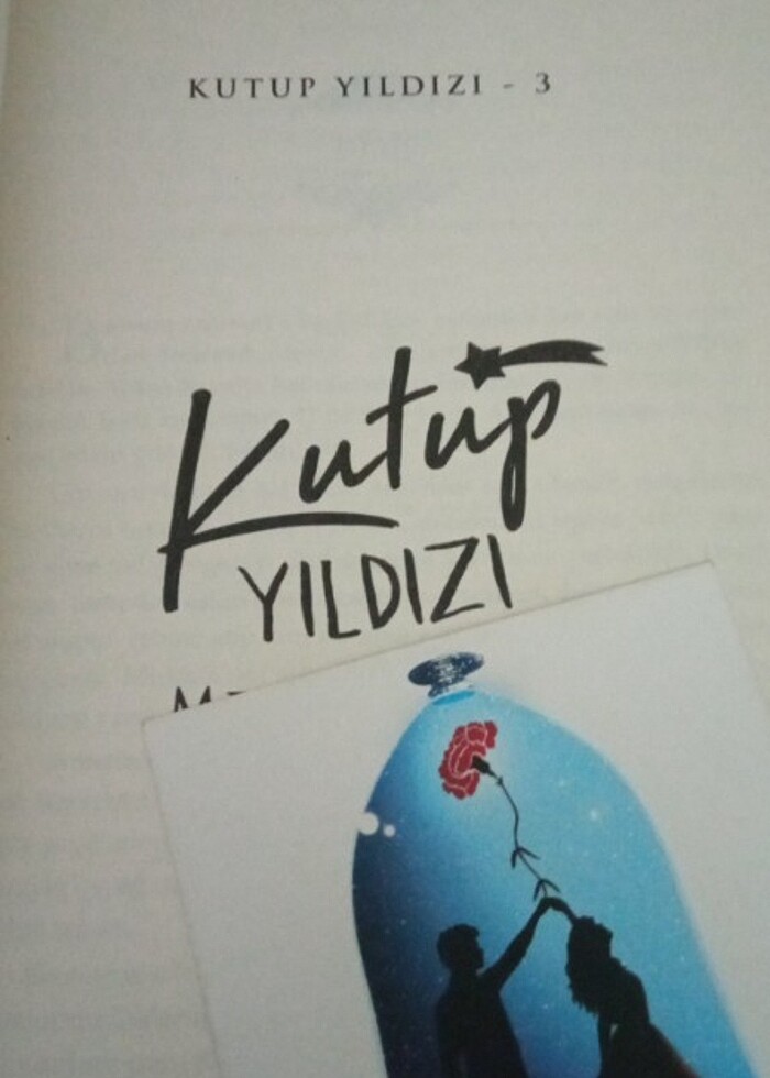 Kutup yıldızı 3 - Görsel 3