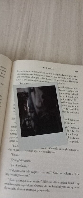 Ayçiçeği karnavalı - Görsel 5