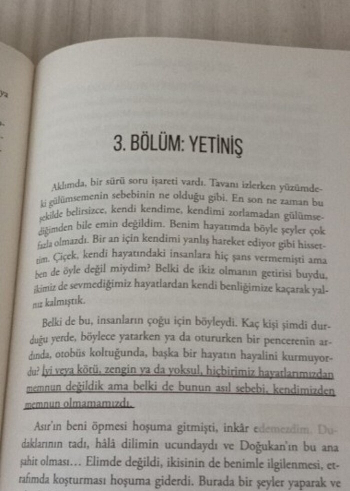 Ayçiçeği karnavalı  - Görsel 3