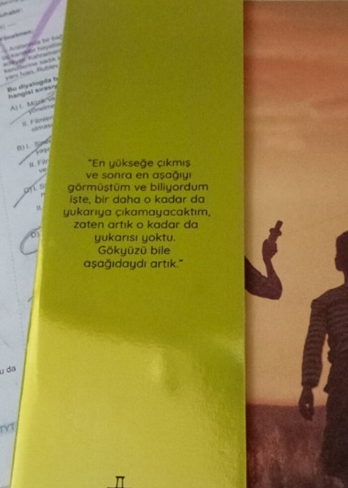 Ayçiçeği karnavalı  - Görsel 4