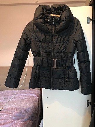 Koton mont