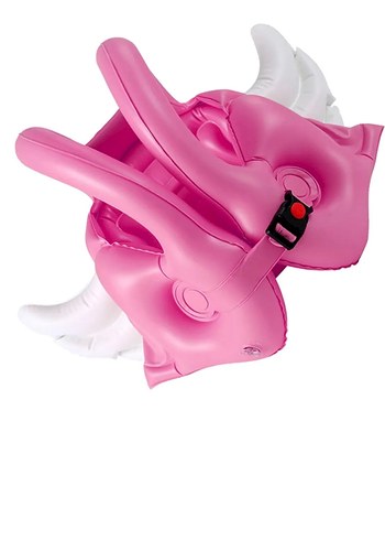 Pembe Renkli Şişme Su Oyuncağı
