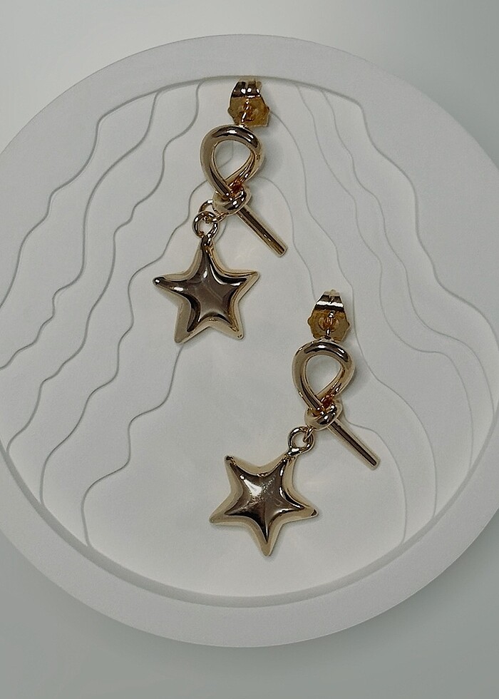 Shining Star Küpe - Görsel 2