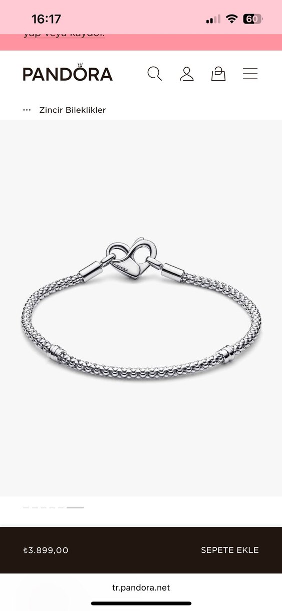 Pandora Gri Zincir Detaylı Kadın Bileklik - Görsel 4