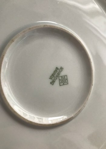 ALMAN PORSELEN SCHRINDING BAVARIA TENCERE - Görsel 5