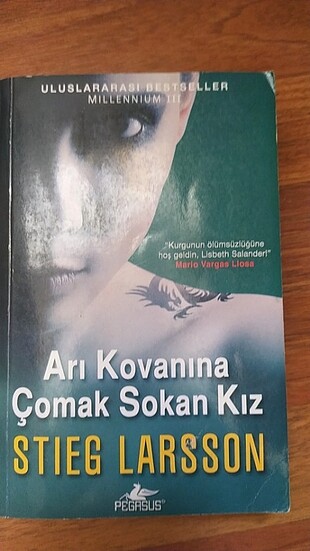 Arı Kovanına Çomak Sokan Kız kitabı