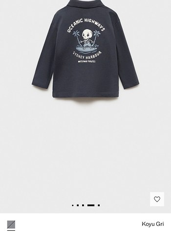 Erkek Çocuk Koyu Gri Uzun Kollu Polo Tişört - Görsel 2