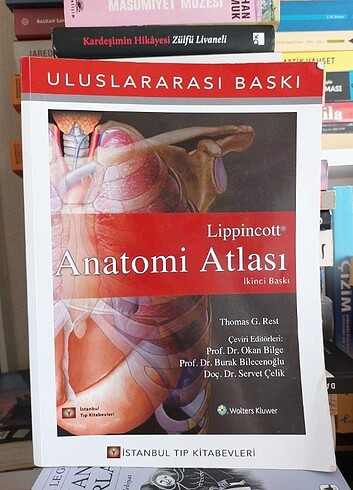Lippincott Anatomi Atlası (Uluslararası Baskı) Thomas G. Rest