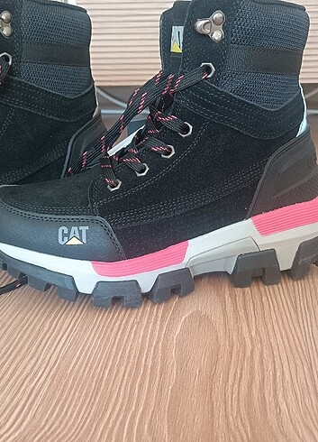 Cat bot