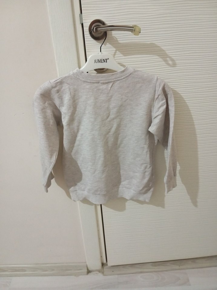 Gri Erkek Çocuk Uzun Kollu Baskılı Sweatshirt - Görsel 3