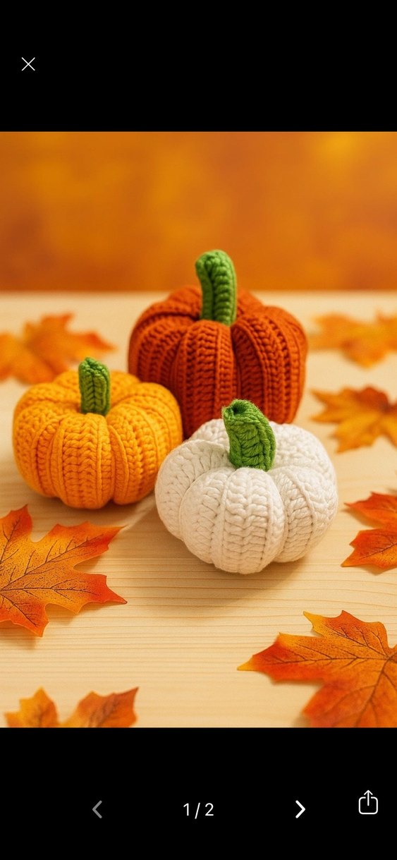 Örgü  Bal Kabağı Dekorları - Görsel 2